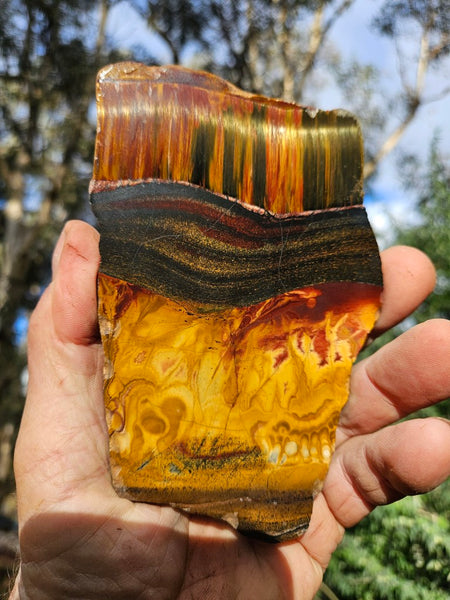 Polished Tiger Eye slab TE473