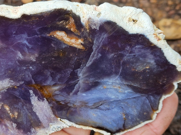 Purple Chalcedony polished slab. PU156