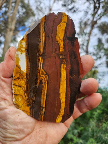 Polished Desert Sunset slab DS201