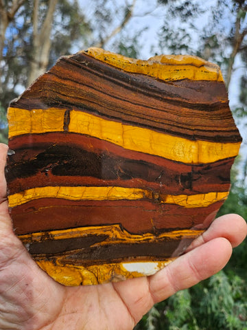 Polished Desert Sunset slab DS202
