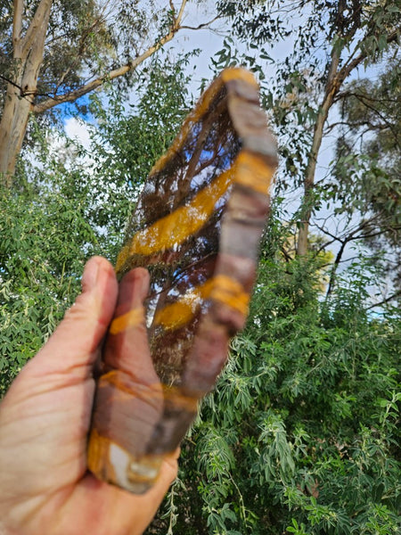 Polished Desert Sunset slab DS202