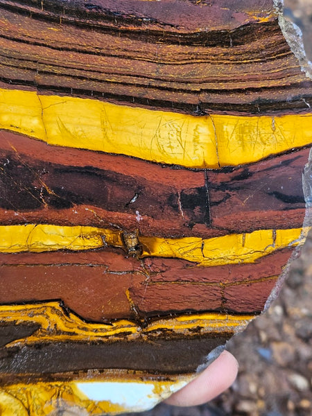 Polished Desert Sunset slab DS202