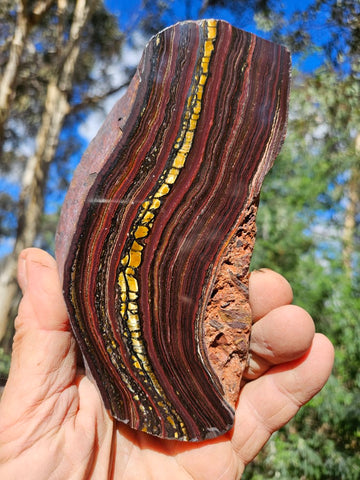 Polished Tiger Iron slab TI376
