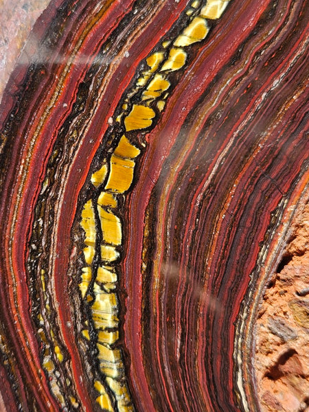 Polished Tiger Iron slab TI376