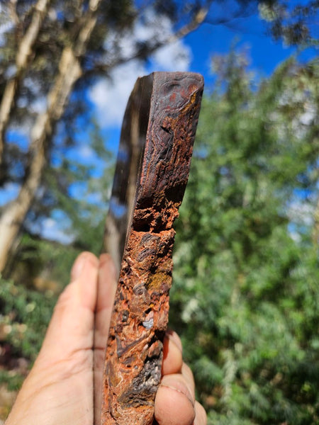 Polished Tiger Iron slab TI376
