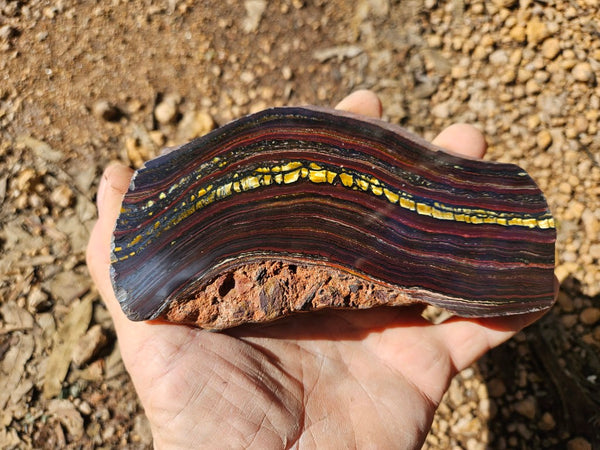 Polished Tiger Iron slab TI376