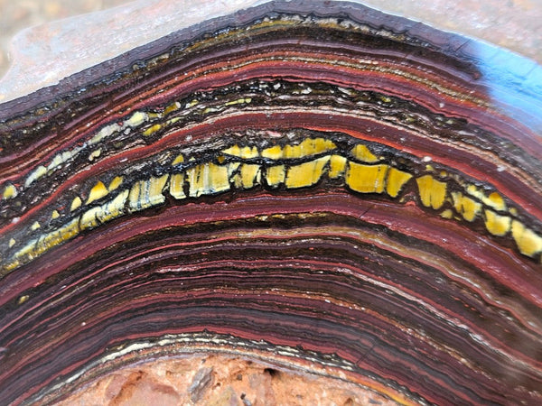 Polished Tiger Iron slab TI376