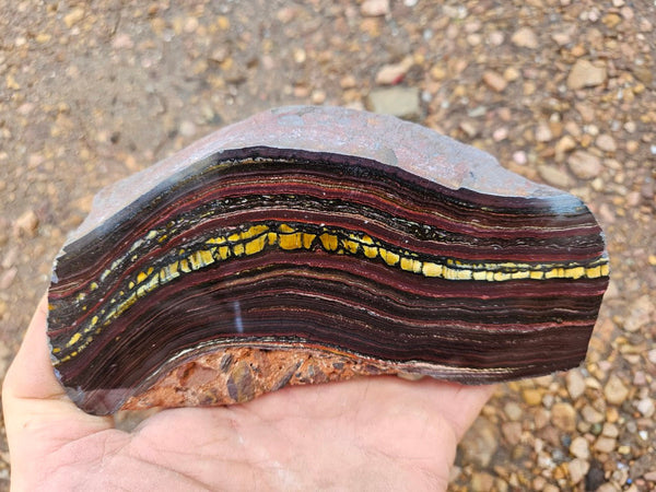Polished Tiger Iron slab TI376