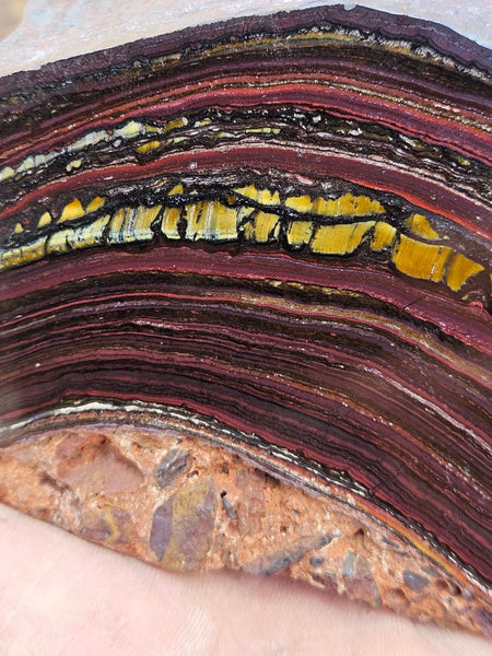 Polished Tiger Iron slab TI376