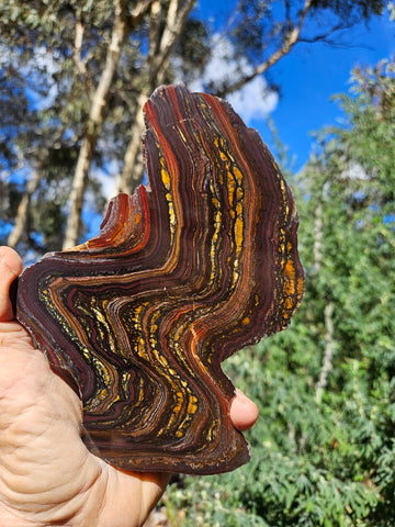 Polished Tiger Iron slab TI377