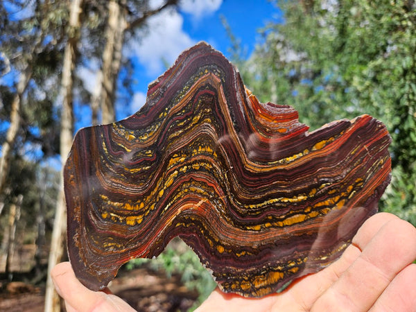 Polished Tiger Iron slab TI377