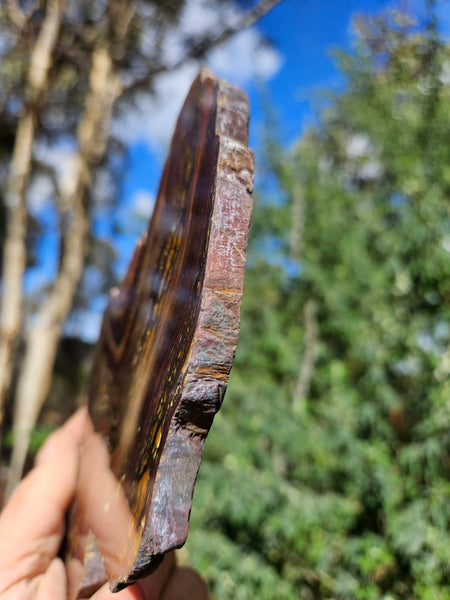 Polished Tiger Iron slab TI377