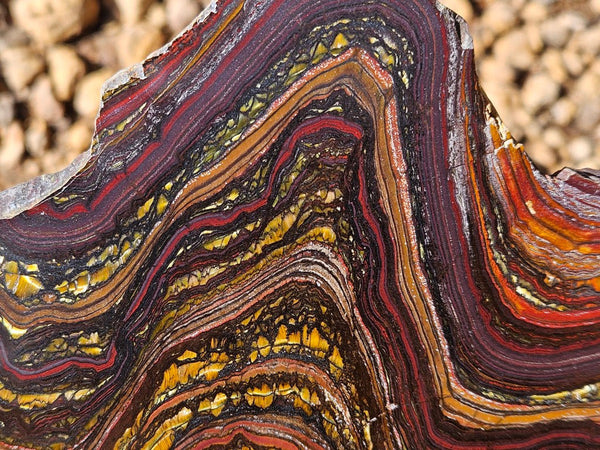 Polished Tiger Iron slab TI377