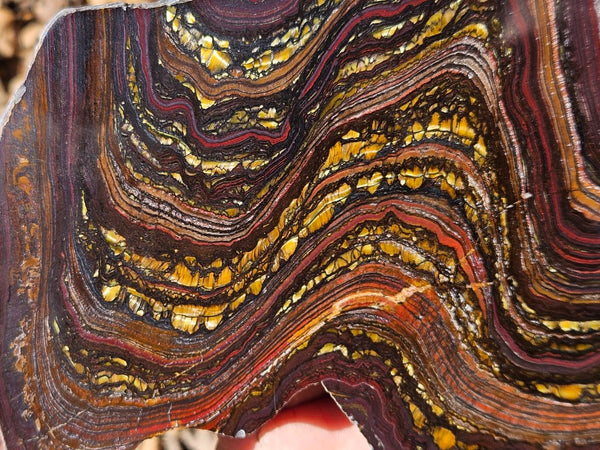 Polished Tiger Iron slab TI377