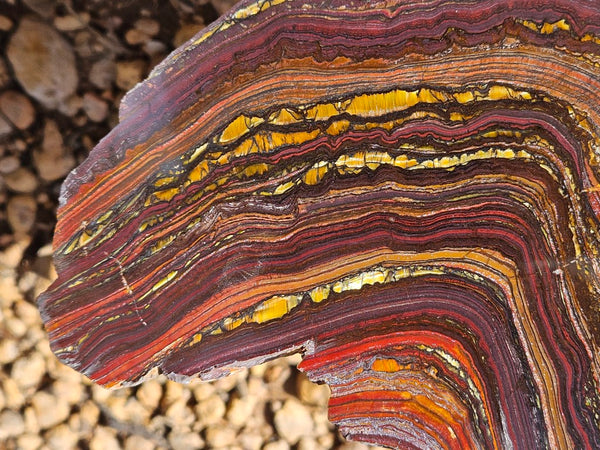 Polished Tiger Iron slab TI377