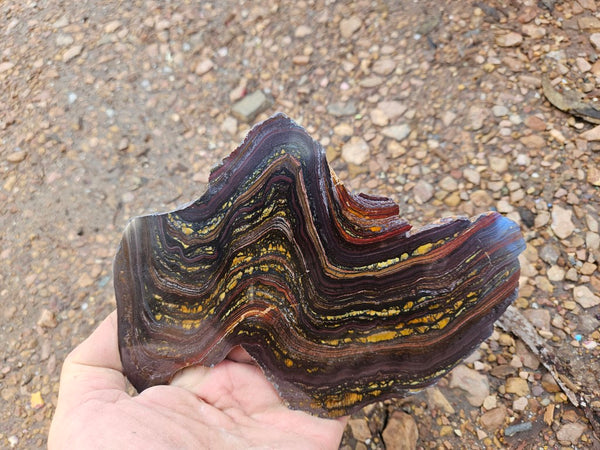Polished Tiger Iron slab TI377