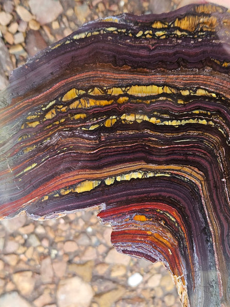 Polished Tiger Iron slab TI377
