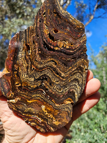 Polished Tiger Iron slab TI378