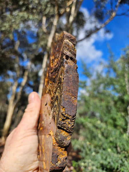 Polished Tiger Iron slab TI378