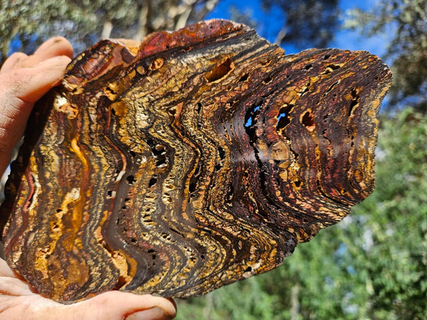 Polished Tiger Iron slab TI378