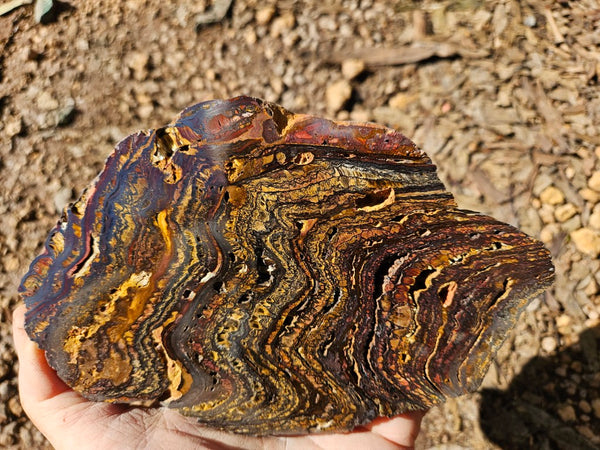 Polished Tiger Iron slab TI378