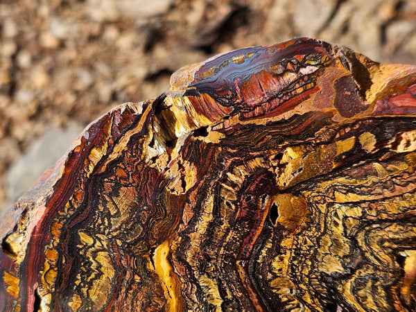Polished Tiger Iron slab TI378