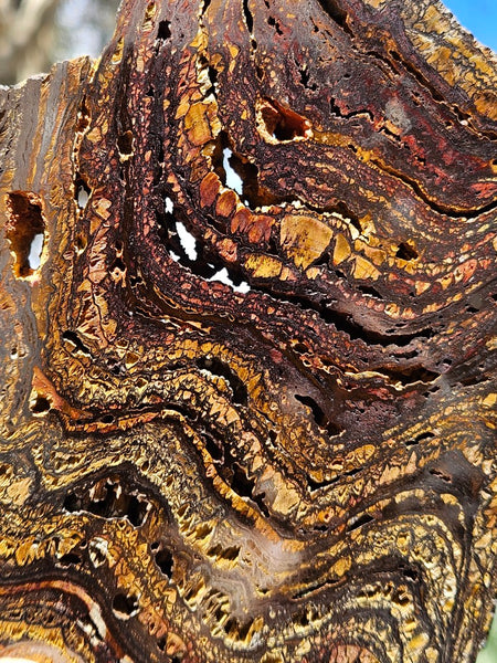 Polished Tiger Iron slab TI378