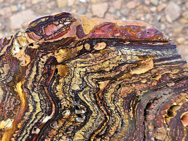 Polished Tiger Iron slab TI378