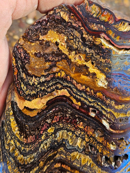 Polished Tiger Iron slab TI378