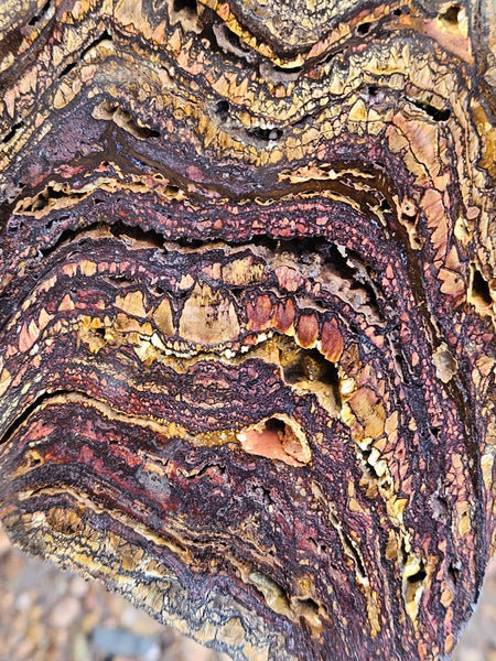 Polished Tiger Iron slab TI378