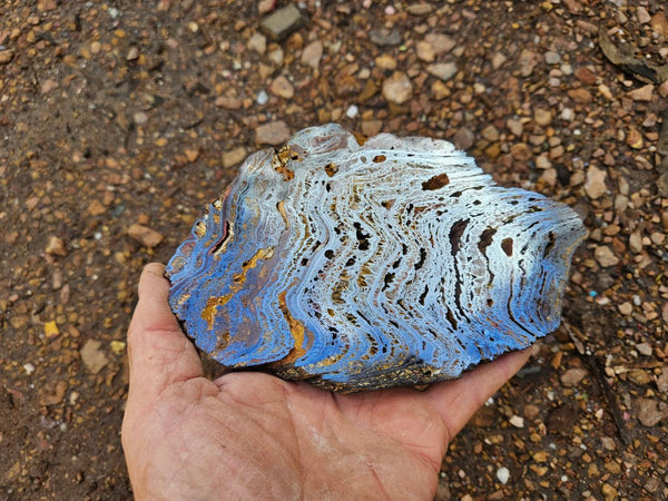 Polished Tiger Iron slab TI378