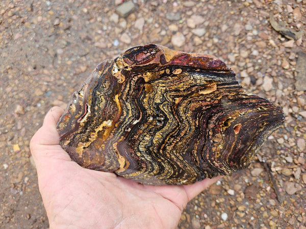 Polished Tiger Iron slab TI378