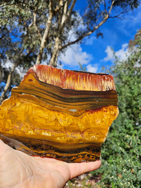 Polished Tiger Eye slab TE474