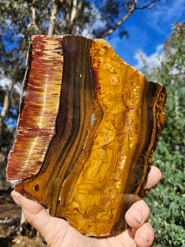 Polished Tiger Eye slab TE474