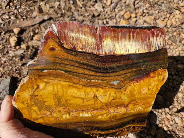Polished Tiger Eye slab TE474