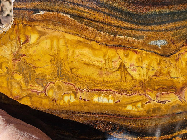 Polished Tiger Eye slab TE474