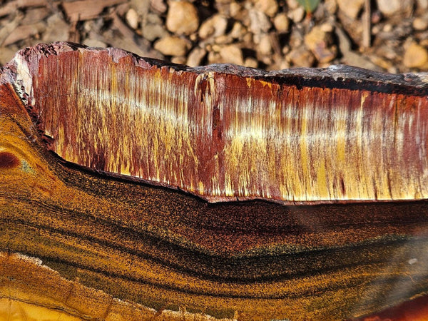 Polished Tiger Eye slab TE474