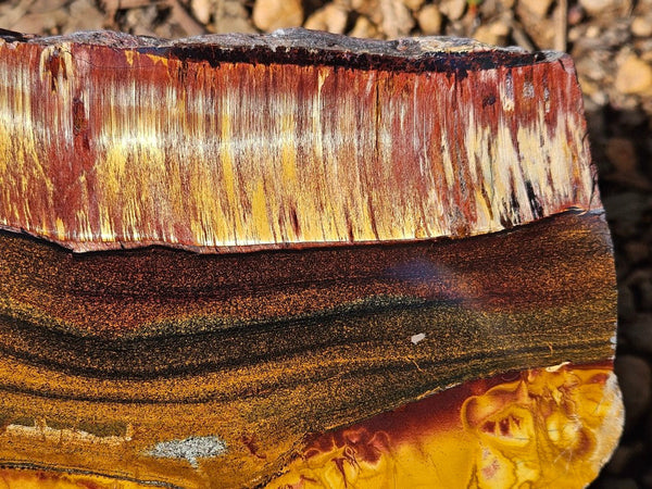 Polished Tiger Eye slab TE474