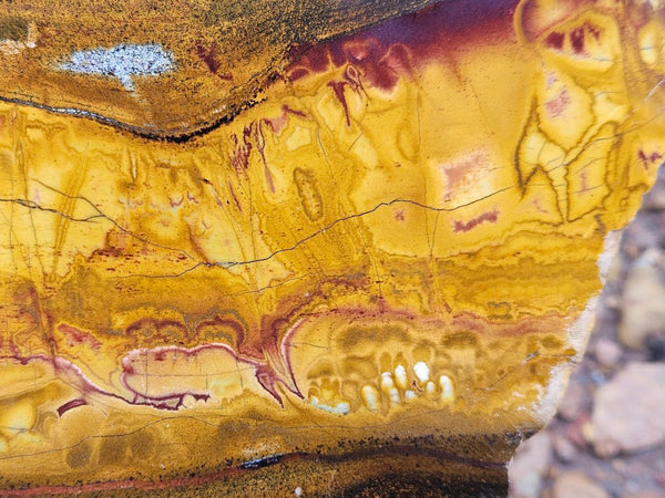 Polished Tiger Eye slab TE474