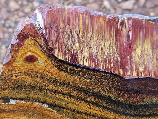 Polished Tiger Eye slab TE474