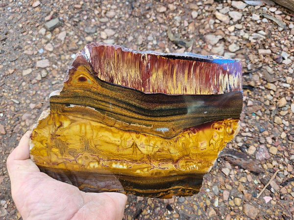 Polished Tiger Eye slab TE474