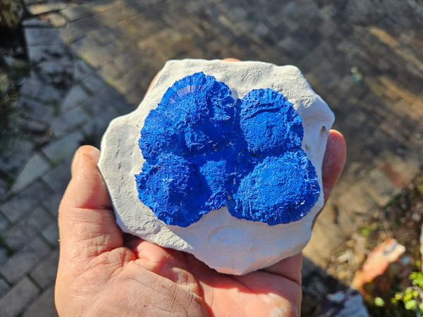 Azurite Sun  AZ169