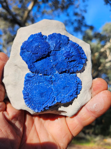 Azurite Sun  AZ169