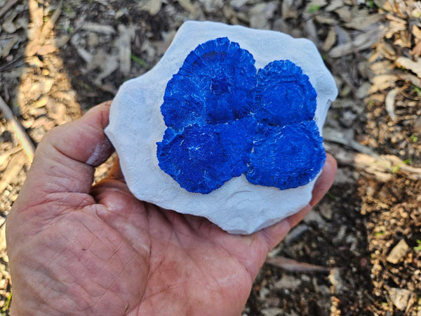 Azurite Sun  AZ169