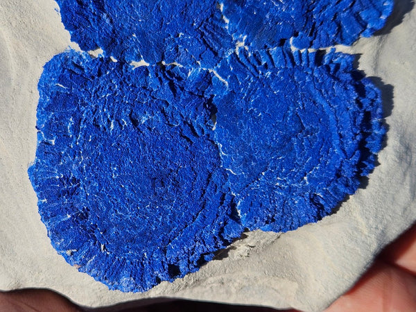 Azurite Sun  AZ169