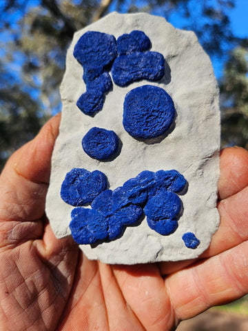 Azurite Sun  AZ170