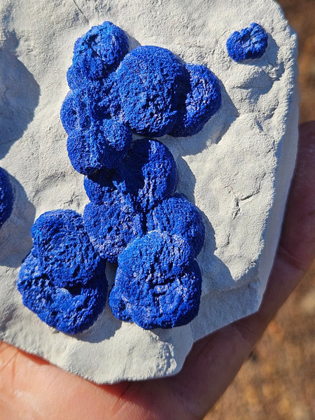 Azurite Sun  AZ170