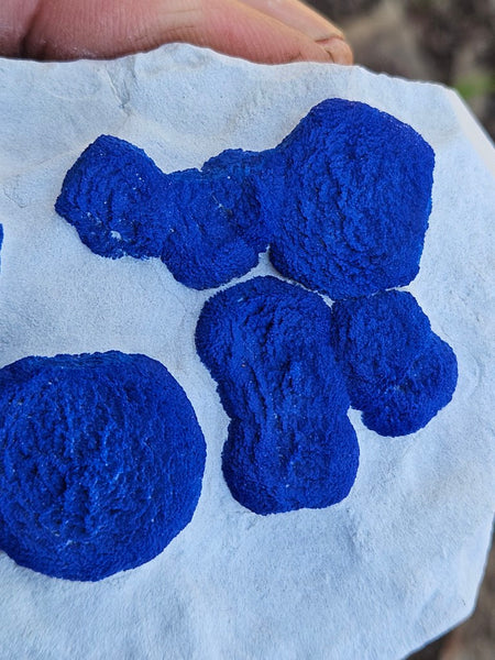 Azurite Sun  AZ170