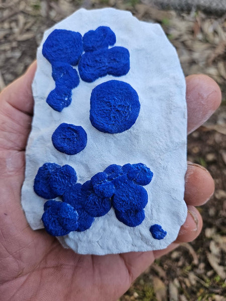 Azurite Sun  AZ170