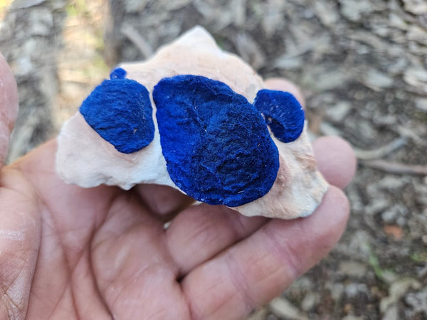 Azurite Sun  AZ171